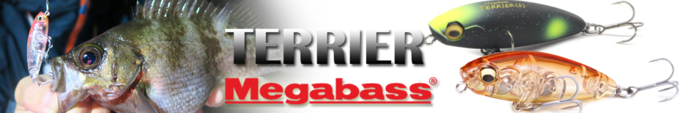 Megabass Terrier