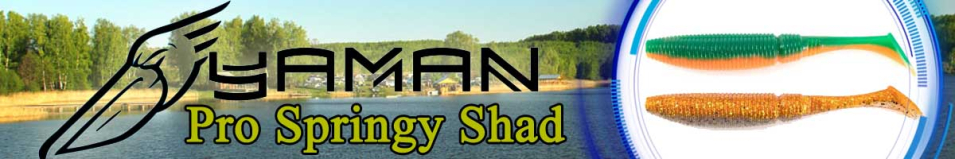 Yaman Pro Springy Shad 6"