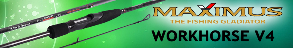 Maximus Workhorse V4