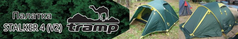 Tramp Stalker 4 (V2)