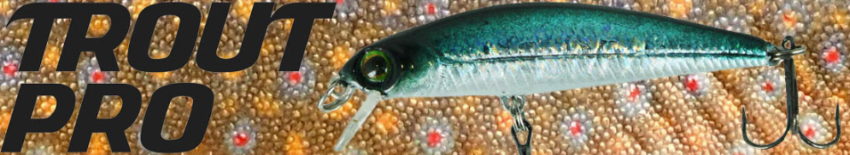 Trout Pro Baby Minnow 50F