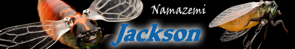 Jackson Namazemi 42мм 4,5гр.