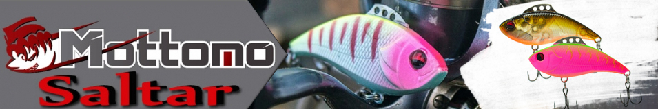 Mottomo Saltar 50S "2 в 1"