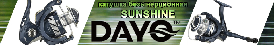 Dayo Sunshine