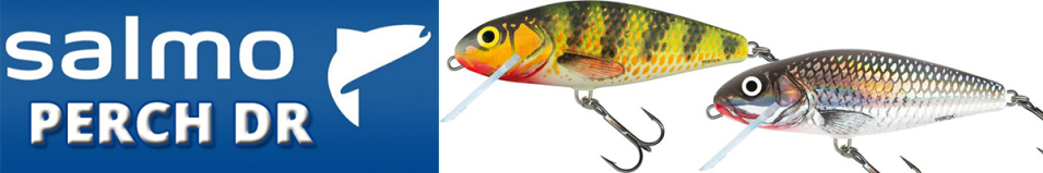 Salmo Perch DR 120F