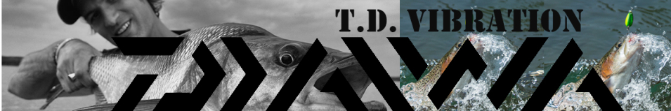 Daiwa T.D. Vibration 63S-W