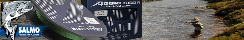 Salmo Aggressor Braid 100m