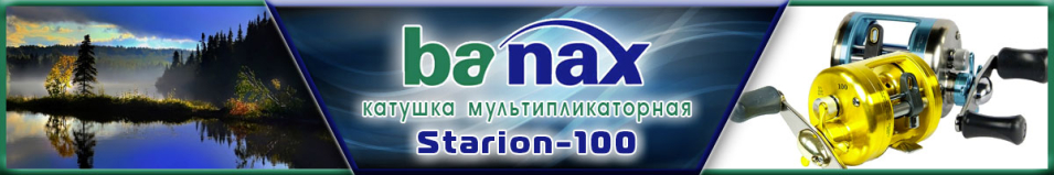 Banax Starion-100