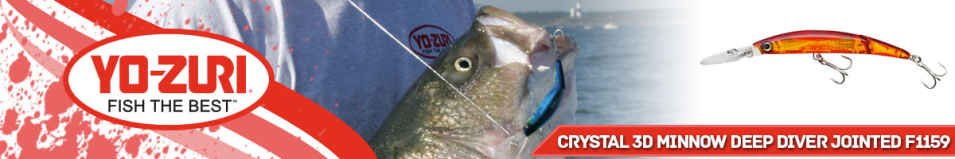 Yo-Zuri Crystal 3D Minnow Deep Diver Jointed F1159