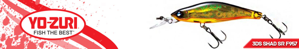 Yo-Zuri 3DS Shad SR F957