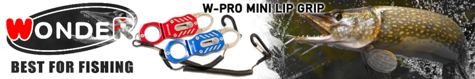 Wonder W-Pro Mini Lip Grip