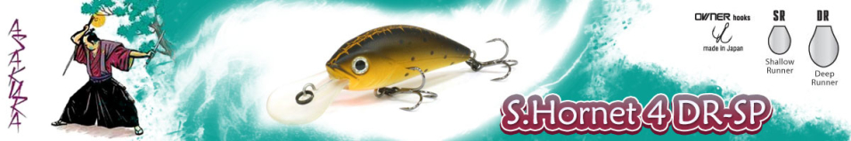 Asakura S.Hornet 4 DR-SP