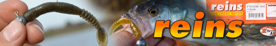 Reins RockVibe Shad 3.5"