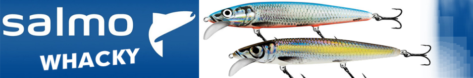 Salmo Whacky 150F