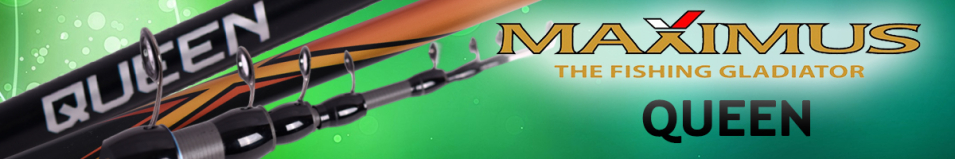 Maximus Queen Bolognese