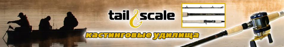 Tail & Scale