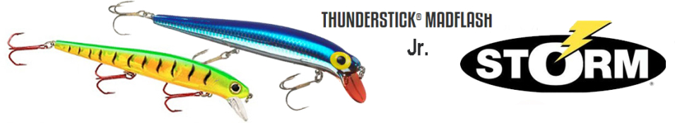 Storm Jr ThunderStick MadFlash