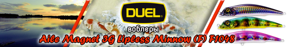 Duel Aile Magnet 3G Lipless Minnow (F) F1048
