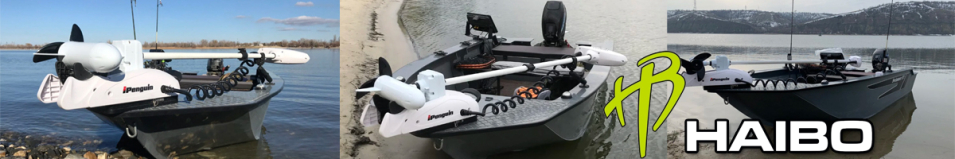 Электромотор Haibo R400/R400S 48V