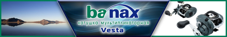 Banax Vesta