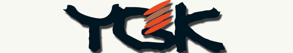 YGK Veragass X8 Fune 300m