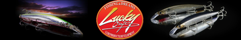 Lucky Craft Commonsence Minnow Raiou 95MR