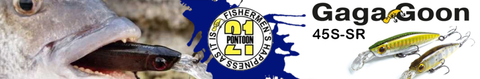Pontoon21 GagaGoon 45S-SR 