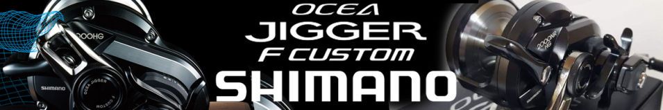 Shimano 19 Ocea Jigger F Custom