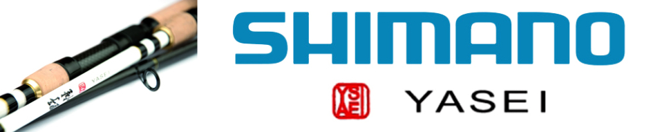 Shimano Yasei AX Cast Vert Jigging