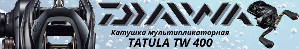 Daiwa Tatula TW 400