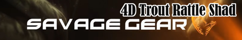 Savage Gear 4D Trout Rattle Shad 12.5