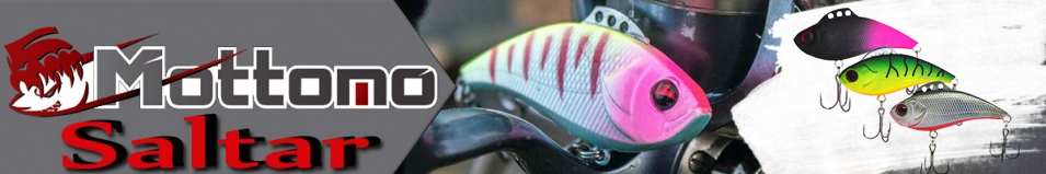 Mottomo Saltar 40S "3 в 1"