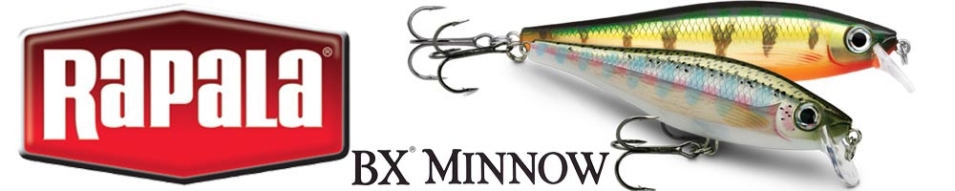 Rapala BX Minnow BXM10