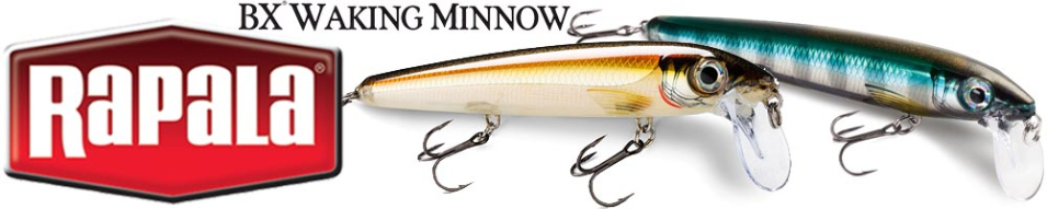 Rapala BX Waking Minnow