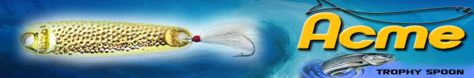 Acme Trophy Spoon w/Bucktail 28гр.