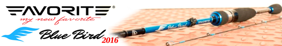 Favorite Blue Bird 2016