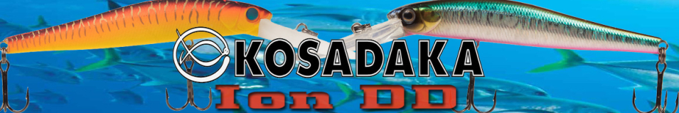 Kosadaka Ion DD 110F