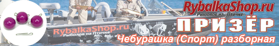 Призёр Чебурашка (Спорт) разборная-фиолетовая