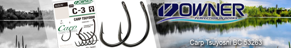 Owner Carp Tsuyosni BC