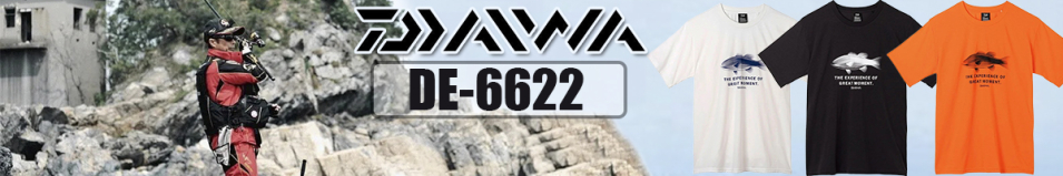 Daiwa DE-6622 OR