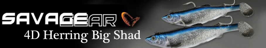Savage Gear 4D Herring Big Shad 22cm 200g