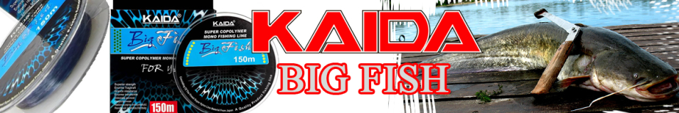 Kaida Big Fish голубая 150м 