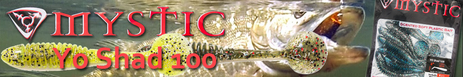  Mystic Yo Shad 100