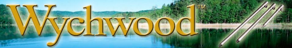 Wychwood Titanium Bankstick