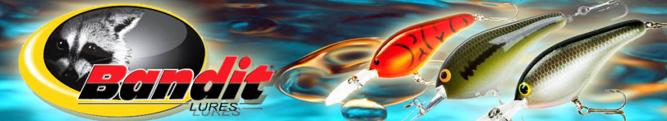 Bandit Deep Flat Max