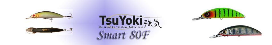 TsuYoki Smart 80F