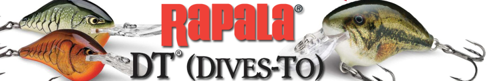Rapala Dives-To DT04