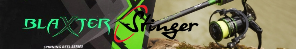 Stinger Blaxter Match