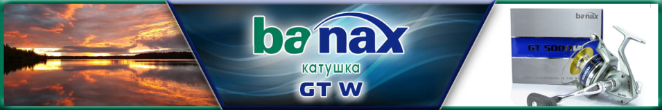 Banax GT W