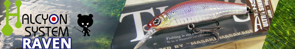Halcyon System Raven 60 US
